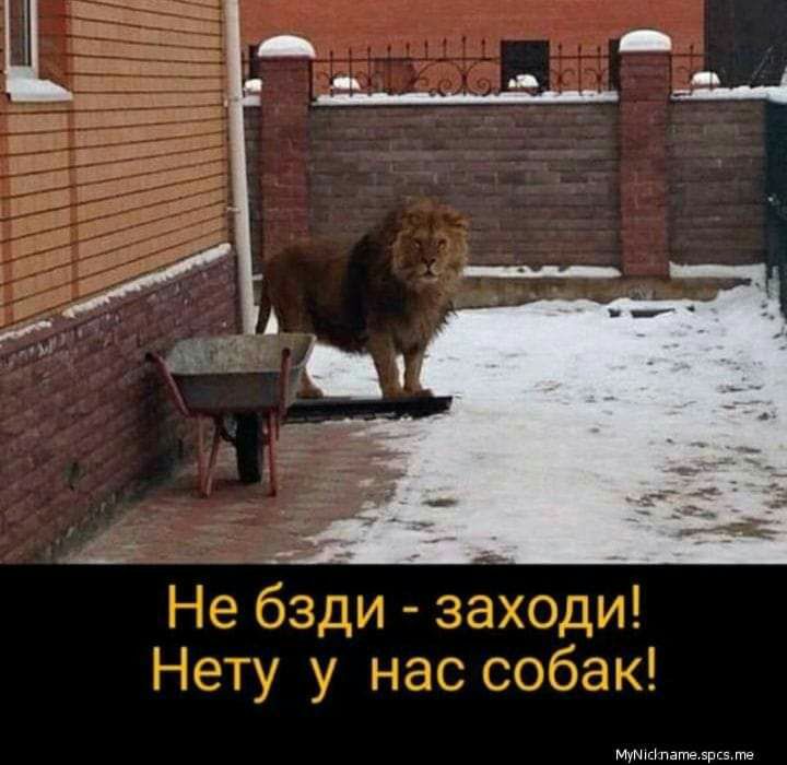 _ Ад ь __ Муттпатв ярсз