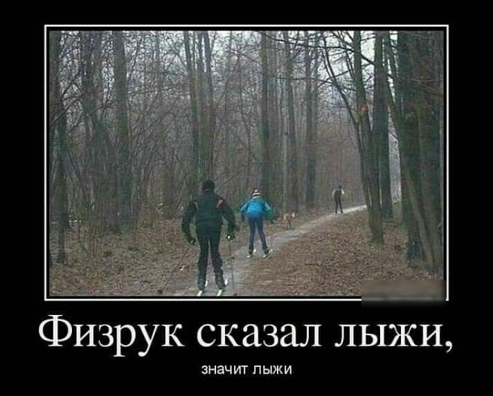 ФИЗРУК СКЗЗЭЛ ЛЫЖИ ЗНЗЧИТ ЛЫЖИ