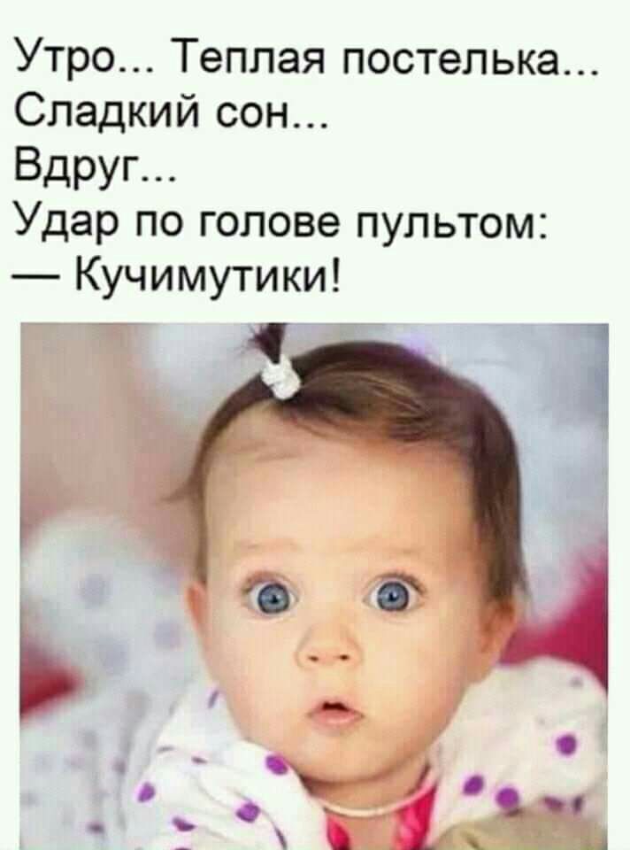 Утро Теплая постелька Сладкий сон Вдруг Удар по голове пультом Кучимутики