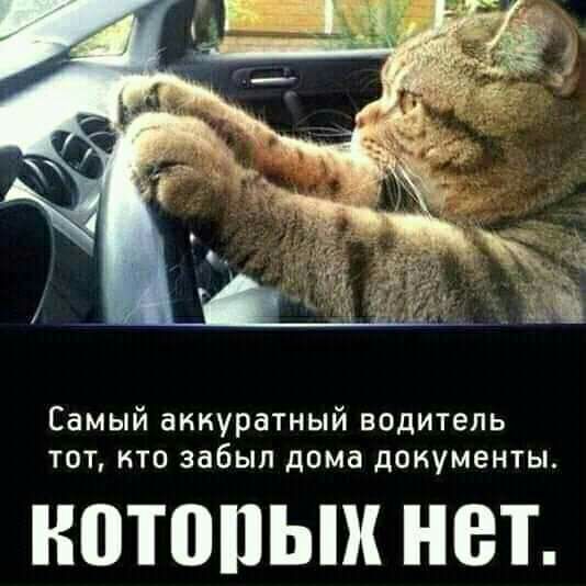 Самый аккуратный водитель тот кто забыл дома документы НПТППЬШ НВТ