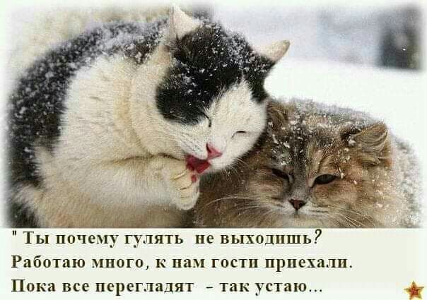 _ у __ Ты почему гулять не выходишь РЦЁОТПЮ МНОГО К на ГОСТП ЦрПЕХПЛП Пока все перегладят ТИК устаю