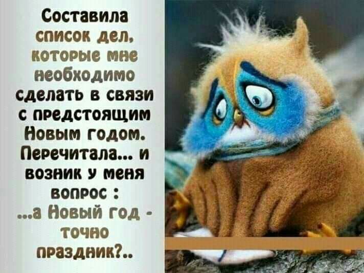 Составила список дел которые мне необходимо сделать в связи с предстоящим Новым годом Пепечитала и возник меня вопрос а Новый год точно праздный