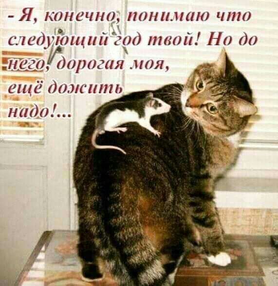 Я конечно понтино что 0 170033101141111 29 пити На 111520 ишпал моя ещё тсить надо