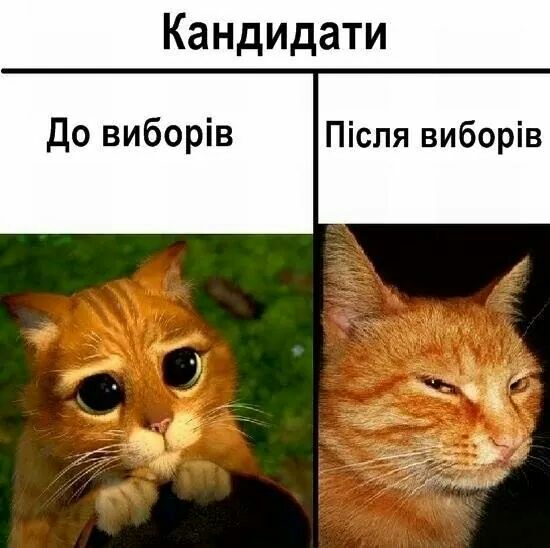 Кандидати До виборів Після виборів