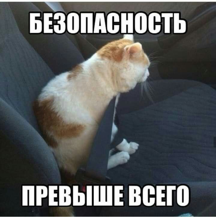 БЕЗППМБНОВТЬ Р А пивышввещ