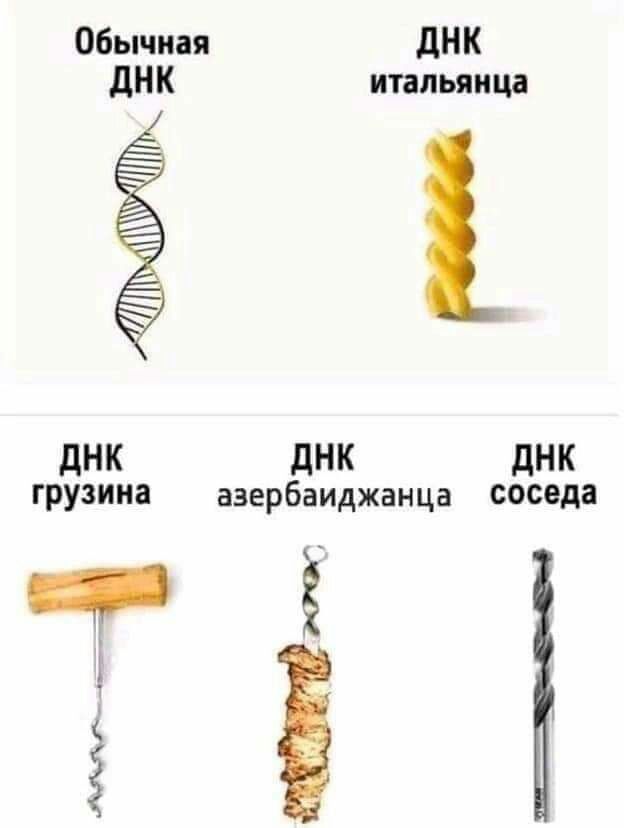 Обычная дНК дНК итальянца днк дНК дНК грузина аэербаиджанца соседа 5 4