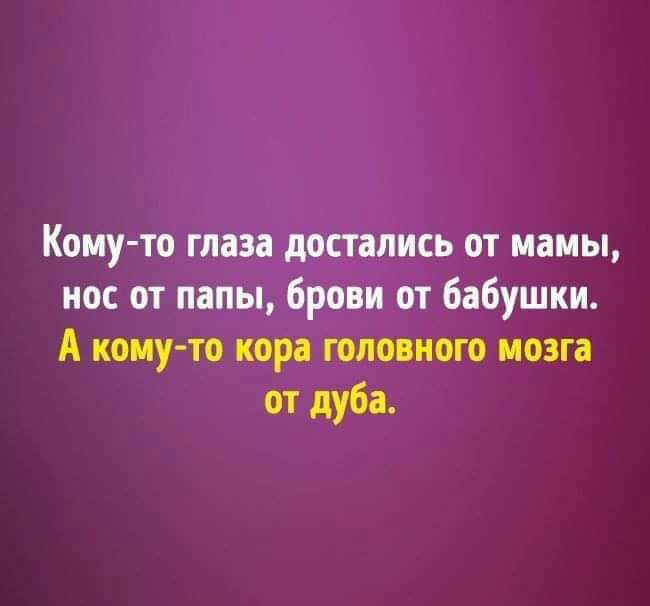 Кому то глаза достались от мамы нос от папы брови от бабушки А кому то кора головного мозга от дуба