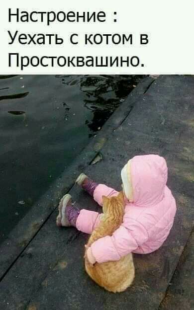 Насгроение Уехать с котом в Простоквашино