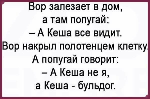 ор залезает в дом а там попугай А Кеша все видит Вор накрыл полотенцем клетку А попугай говорит А Кеша не я а Кеша бульдог