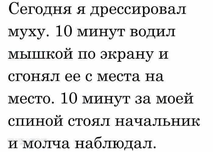 ЮБАЧА ШШШ ВШЧУИ ВЕБЕ 21 23735 водил мышкой по экрану и сгонял ее с места на место 10 минут за моей спиной стоял начальник и молча наблюдал