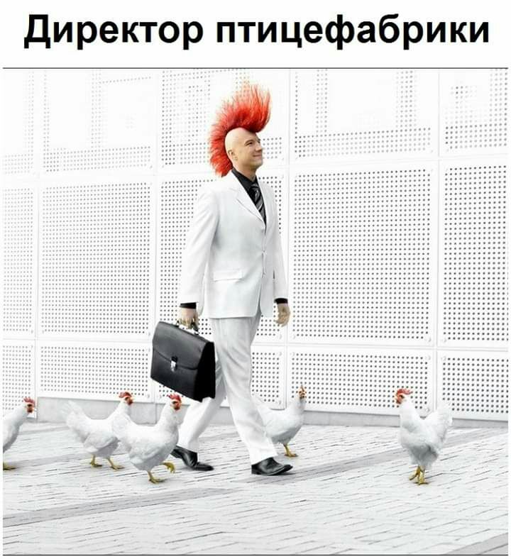 Директор птицефабрики