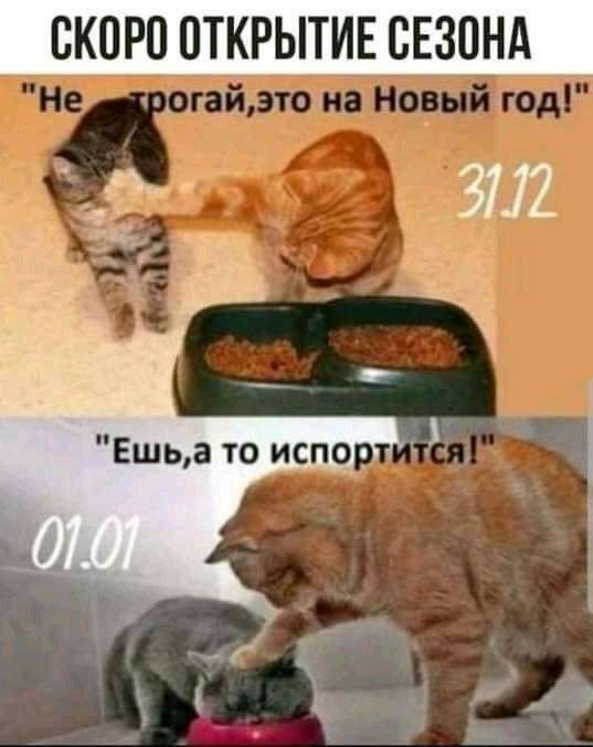 ОКОРО ОТКРЫТИЕ СЕЗОНА