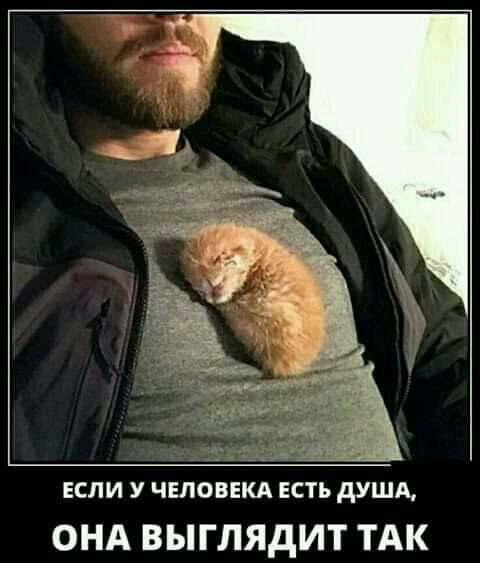 ЕСЛИ У ЧЕЛОВЕКА ЕСТЬ дУША ОНА ВЫГЛЯДИТ ТАК