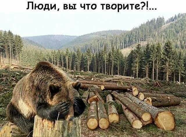 Люди вы что творите