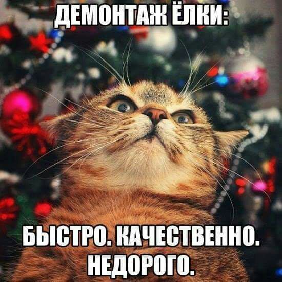 ыдімоцтмн ЁШШ1 БЬЮТЮЦШЧЕВТВШНЕ НЕДПРШП