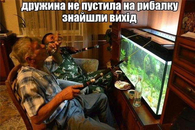 дшпнина не пустила ніЁйпапііп зиайшпивихід А Н _ 3Ёд