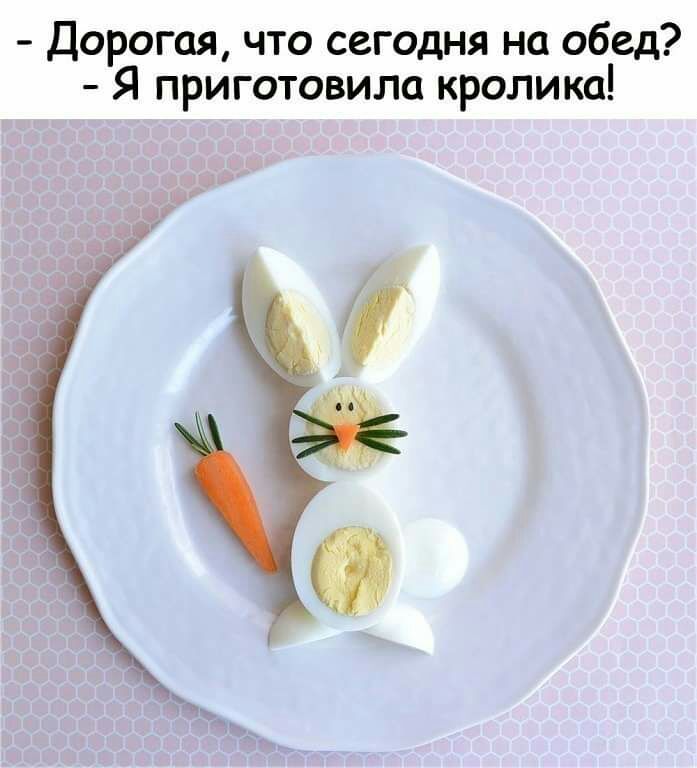 Дорогая что сегодня на обед Я приготовила кролика