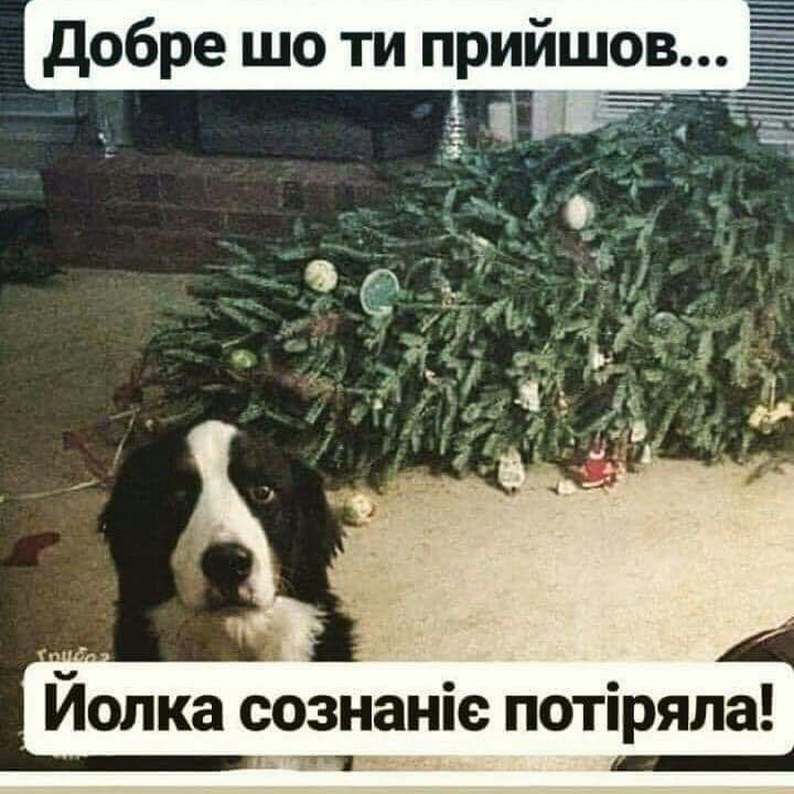 добре шо ти прийшов