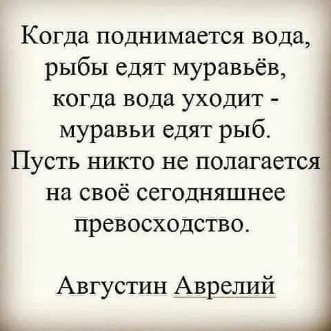 Когда поднимается вода рыбы едят муравьёв когда вода уходит муравьи едят рыб Пусть никто не полагается на своё сегодняшнее превосходство Августин Аврелий