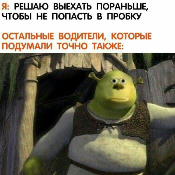 Я РЕШАЮ ВЫЕХАТЬ ПОРАНЬШЕ ЧТОБЫ НЕ ПОПАСТЬ В ПРОБКУ ОСТАЛЬНЫЕ ВОДИТЕЛИ КОТОРЫЕ ПОДУМАЛИ ТОЧНО ТАКЖЕ