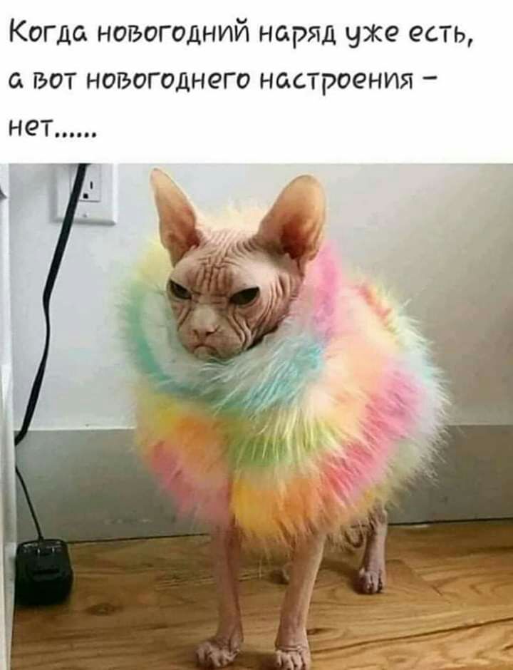 Когда новогодний наряд уже есть а вот новогоднего настроения нет