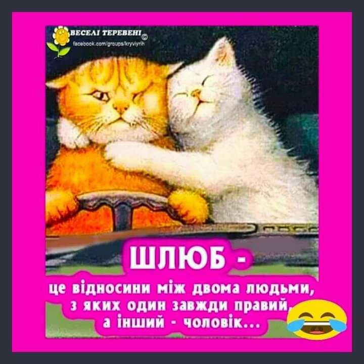 ппм пт пис А мии шпюв _ _____ це відносини ніж дина людьми ЁЁШЁЗЁЭЗЪЁЁЁЪ