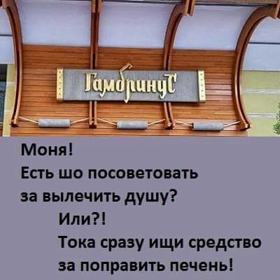 Моня Есть шо посоветовать за вылечить душу Или Тока сразу ищи средсгво за поправить печень
