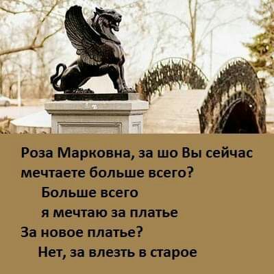 вмн Роза Марковна за шо Вы сейчас мечтаете больше всего Больше всего я мечтаю за платье За новое платье Нет за влезть в старое