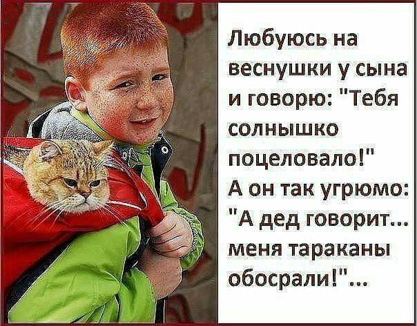 Любуюсь на веснушки у сына и говорю Тебя солнышко поцеловала А он так угрюмо А дед говорит меня тараканы обосрапи