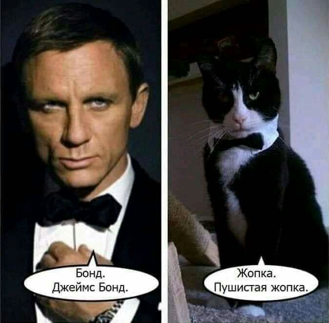 Жопка Джеймс Бонд Пушистая жопка
