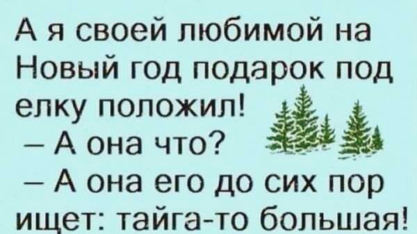 А я своей любимой на Новый год подарок под елку положил Аона что _ А она его до сих пор ищет тайга то большая
