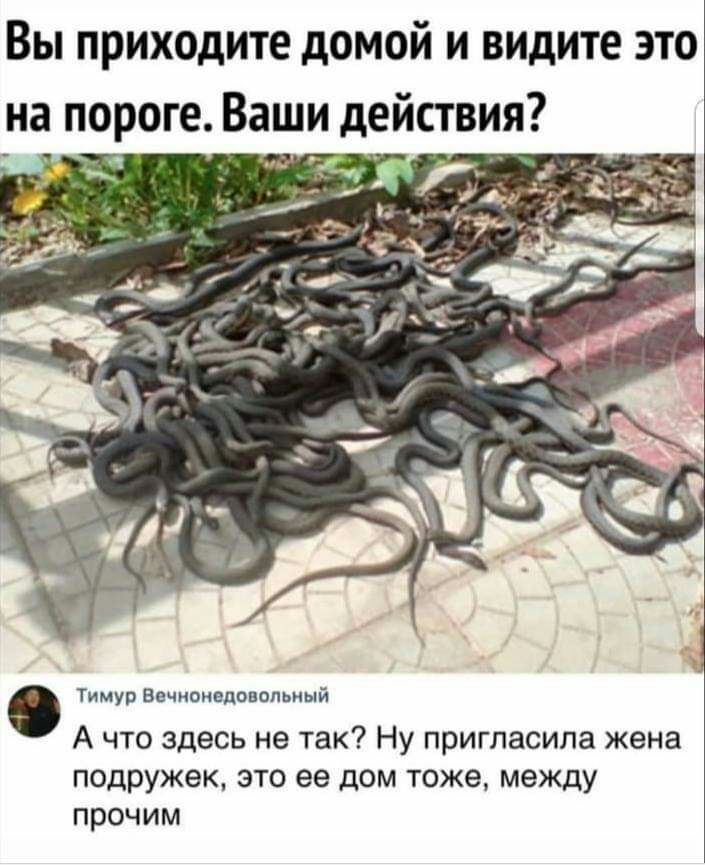 Вы приходите домой и видите это на пороге Ваши действия Тимур Вечноиедовопьиый А что здесь не так Ну пригласила жена подружек это ее дом тоже между прочим
