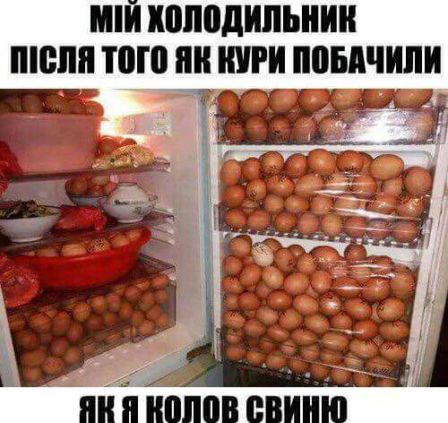 ШИ холодильник ШШШ ШП УРИ повдчипи