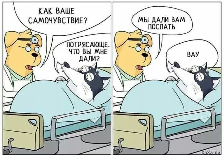 КАК ВАШЕ САМОЧУВСТВИЕ мы или ВАМ поспмь ПОТРЯСАЮЩЕ что вы МНЕ