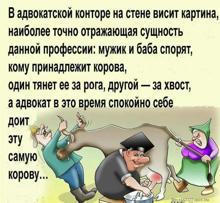 В адвокатской конторе на стене висит картина наиболее точно отражающая сущность данной профессии мужик и баба спорят кому принадлежит корова один тянет ее за рога другой за хвост а адвокат в это время спокойно себе доит