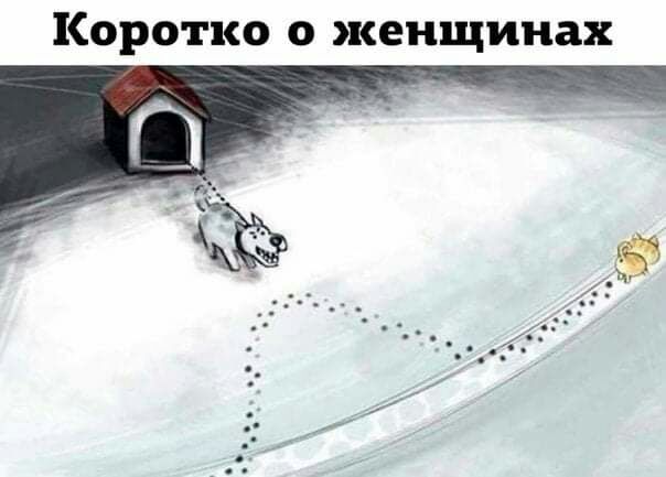 Коротко о женщинах