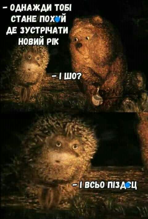 одиджди тоы спи похуй дд зустрндти