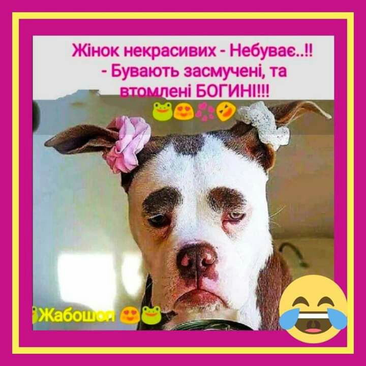 Жінок некрасивих Небувае Бувають засмучені та ені БОГИН