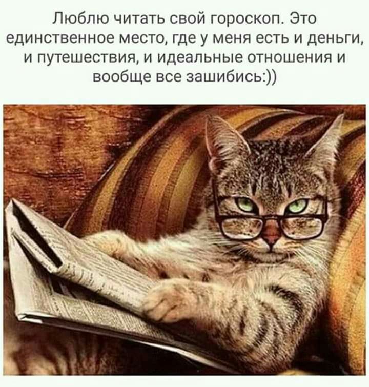 Люблю читать свой гороскоп Это единственное место где у меня есть и деньги и путешествия и идеальные отношения и вообще все зашибись