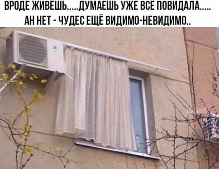 ВРОДЕ ЖИВЁШЬ ЛУМАЕШЬ УЖЕ ВСЁ ПОВИДАЛА АН НЕТ ЧУдЕС ЕЩЁ ВИЛИМП НЕВИДИМП
