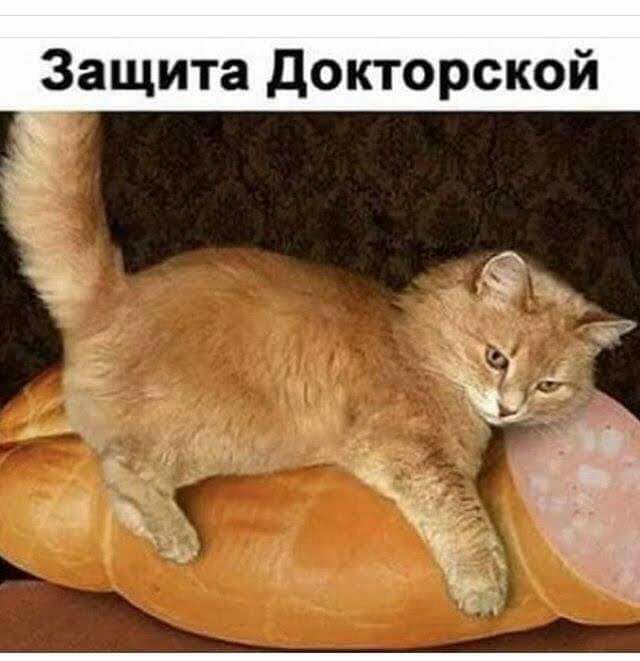 Защита докторской