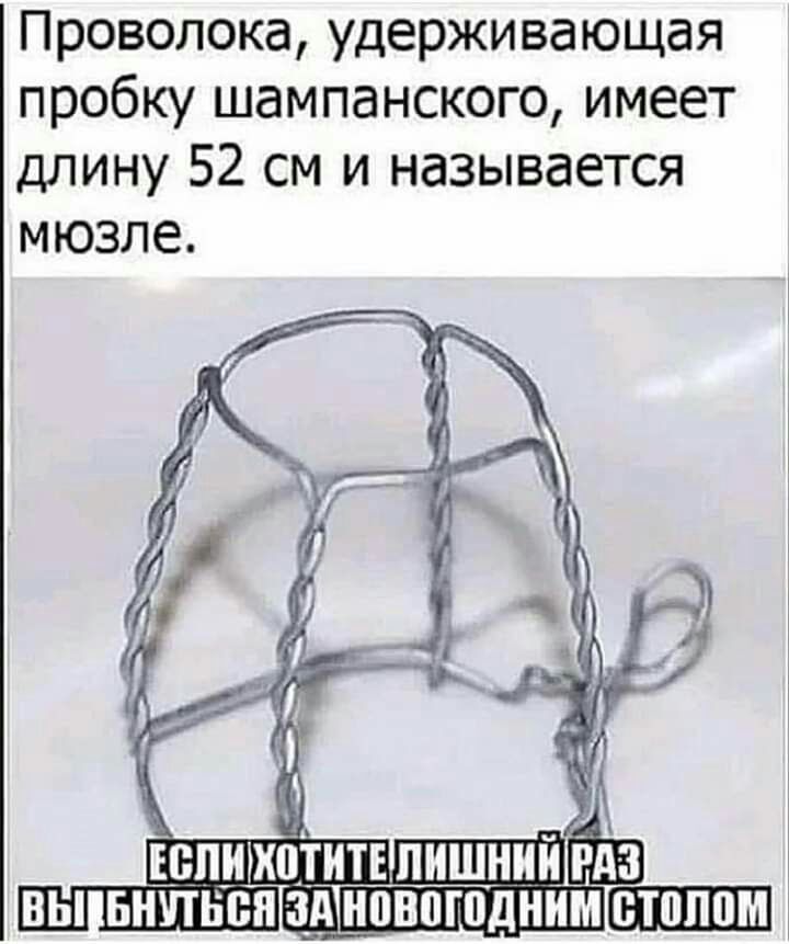 Проволока удерживающая пробку шампанского имеет длину 52 см и называется МЮЗЛЕ