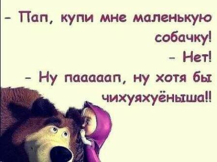 Пап купи мне маленькую собачку Нет Ну пааааап ну хотя бы чихуяхуёнышад