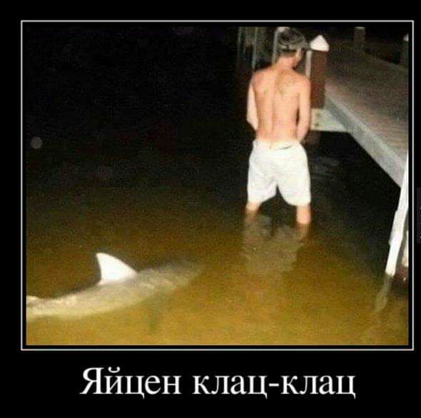 Яйцен клацклац