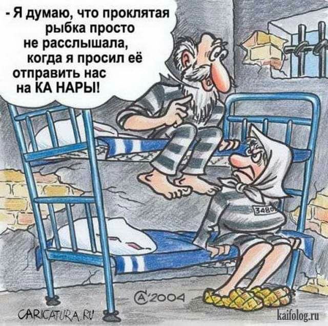 Я думаю что проклятая рыбка просто не расслышала когда я просил её отправить нас на КА НАРЫ