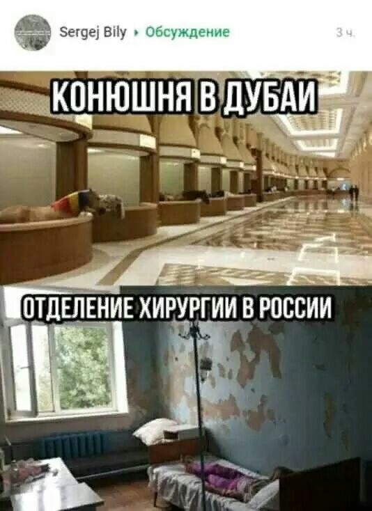 тм Зеггдеі ВПу и П КПНЮШНЯ ВДУБАИ т