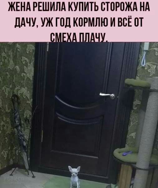 ЖЕНА РЕШИПА КУПИТЬ ПТПРПЖА НА ЛАЧУ УЖ ПШ КОРМЛЮ И ВСЁ Н А 1 С 1 15