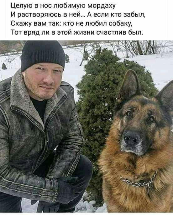 Целую в нос любимую мордаху И растворяюсь ней А если кто забыл Скажу вам так кто не любил собаку Тот вряд ли в этой жизни счастлив был