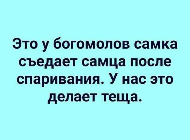 Это у богомолов самка съедает самца после спаривания У нас это делает теща