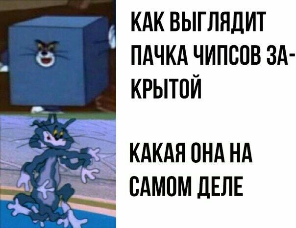КАК ВЫГЛЯДИТ ПАЧКА ЧИПСОВ ЗА КРЫТПЙ